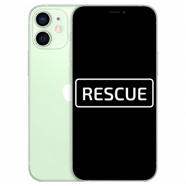 Apple iPhone 12 mini, 256 GB, Green (rescue)