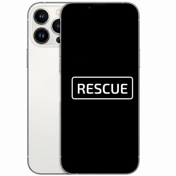 Apple iPhone 13 Pro Max, 128 GB, Silver (rescue)